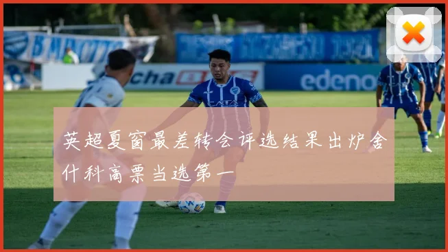 英超夏窗最差转会评选结果出炉舍什科高票当选第一