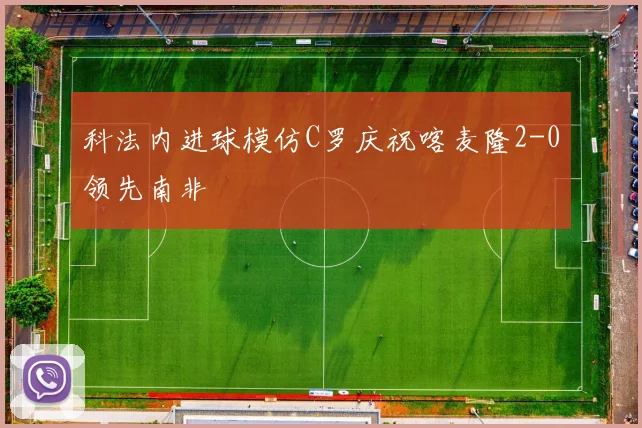 科法内进球模仿C罗庆祝喀麦隆2-0领先南非