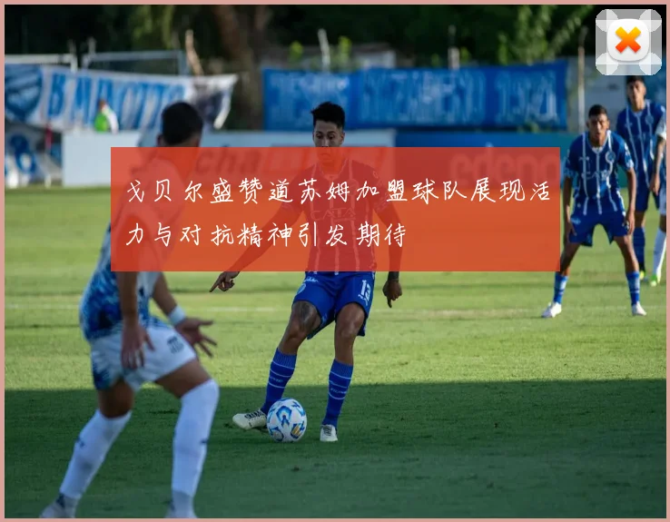 戈贝尔盛赞道苏姆加盟球队展现活力与对抗精神引发期待